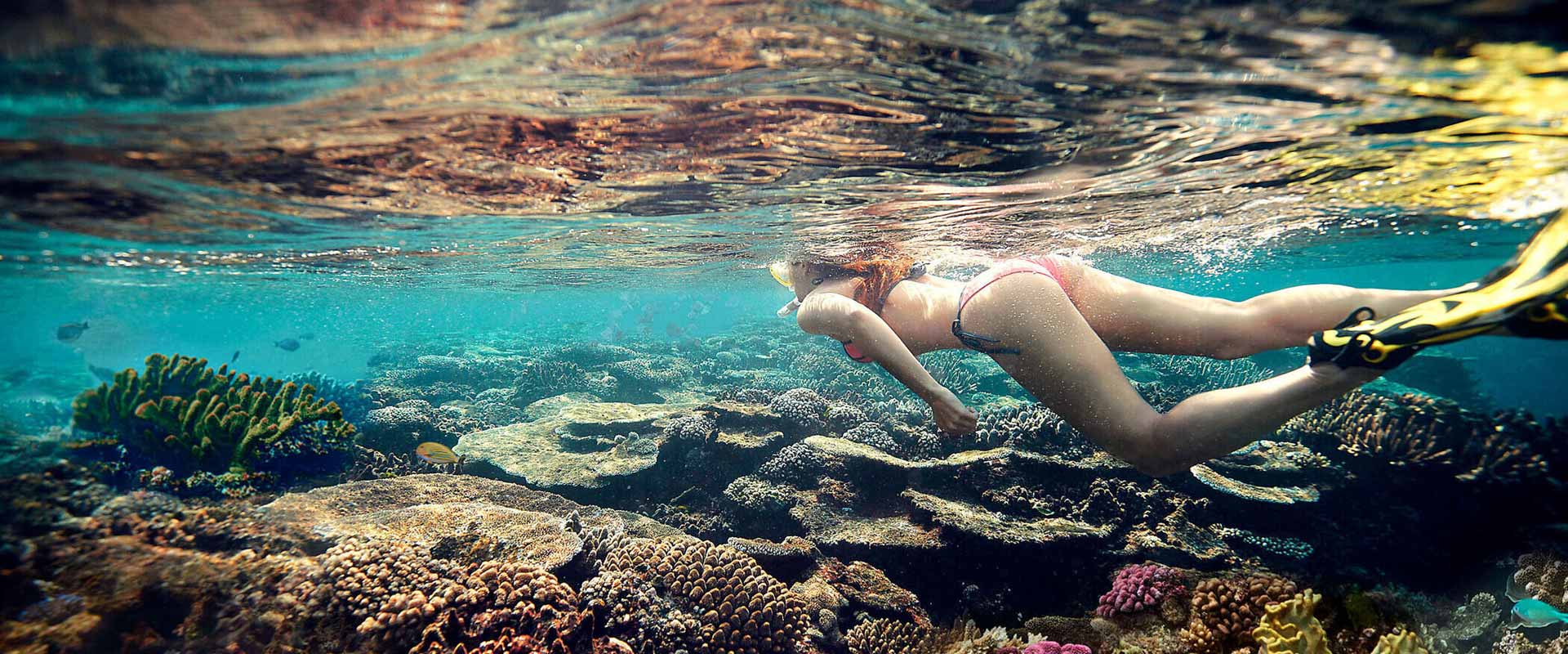 fiji things to do