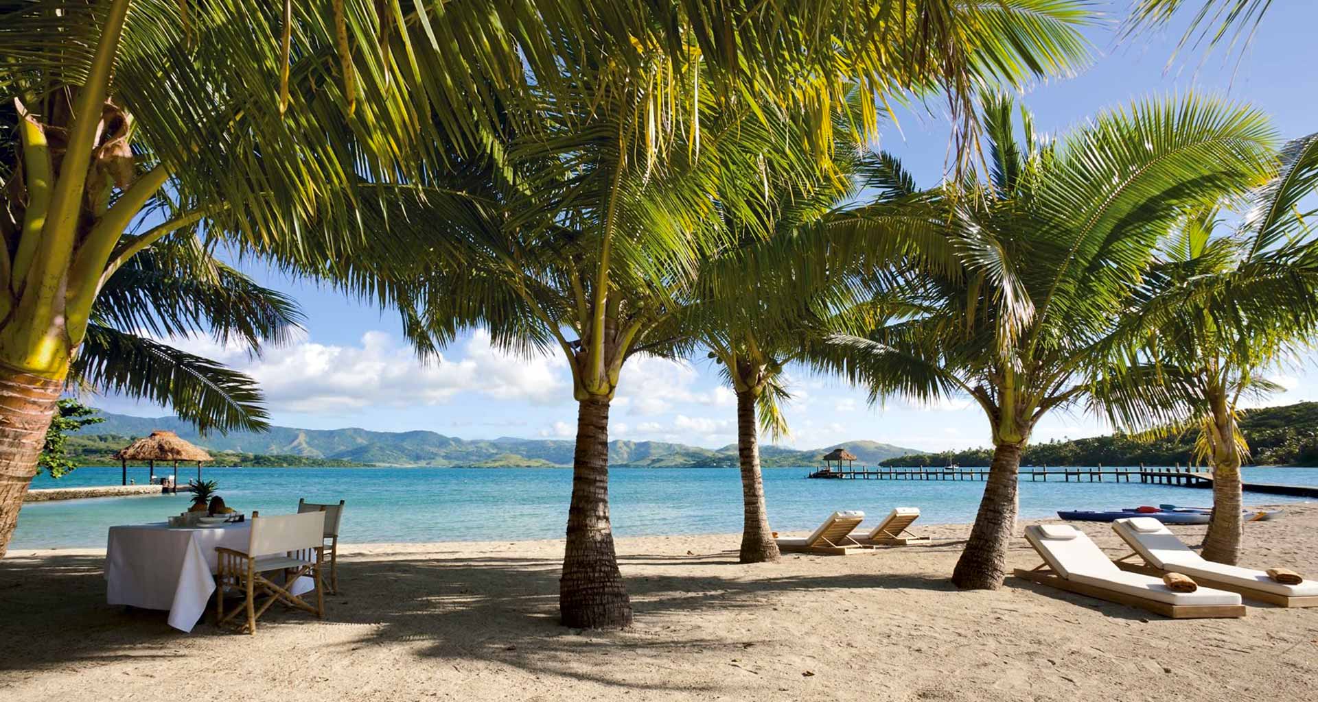 dolphin private island