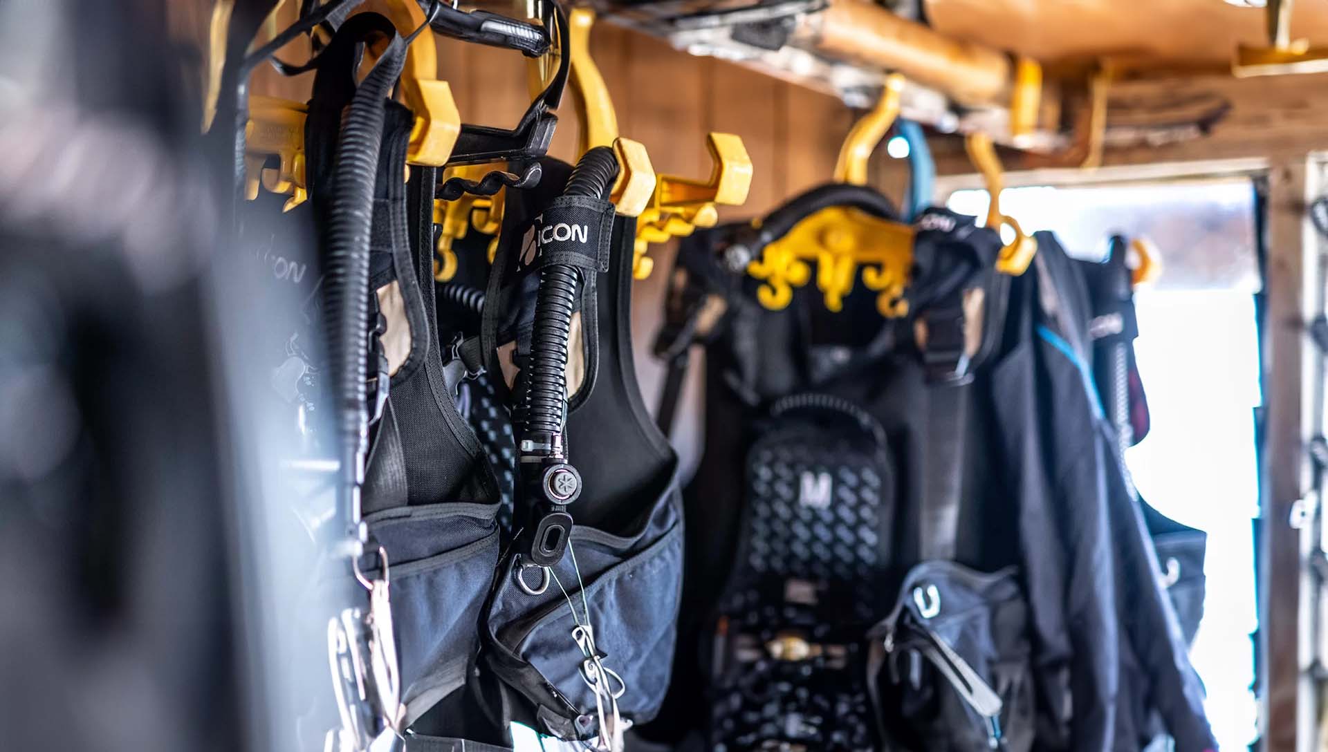 fiji dive holiday