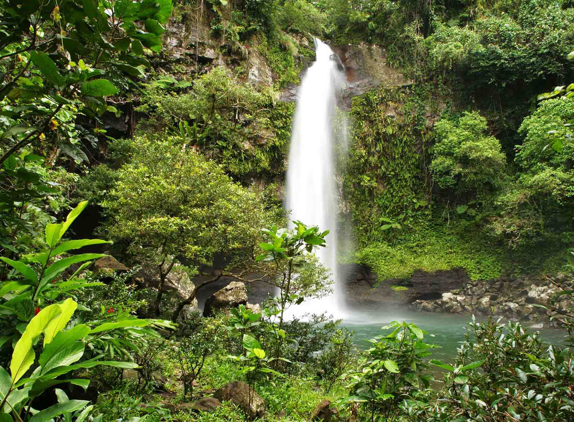 matangi_island_resort_taveuni_waterfalls
