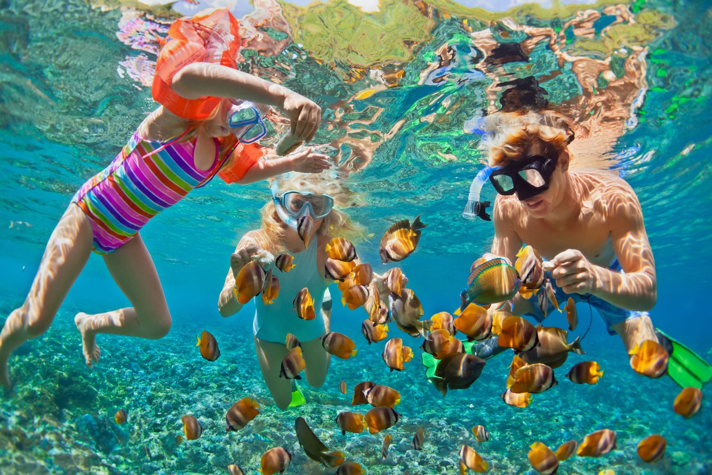fiji snorkelling