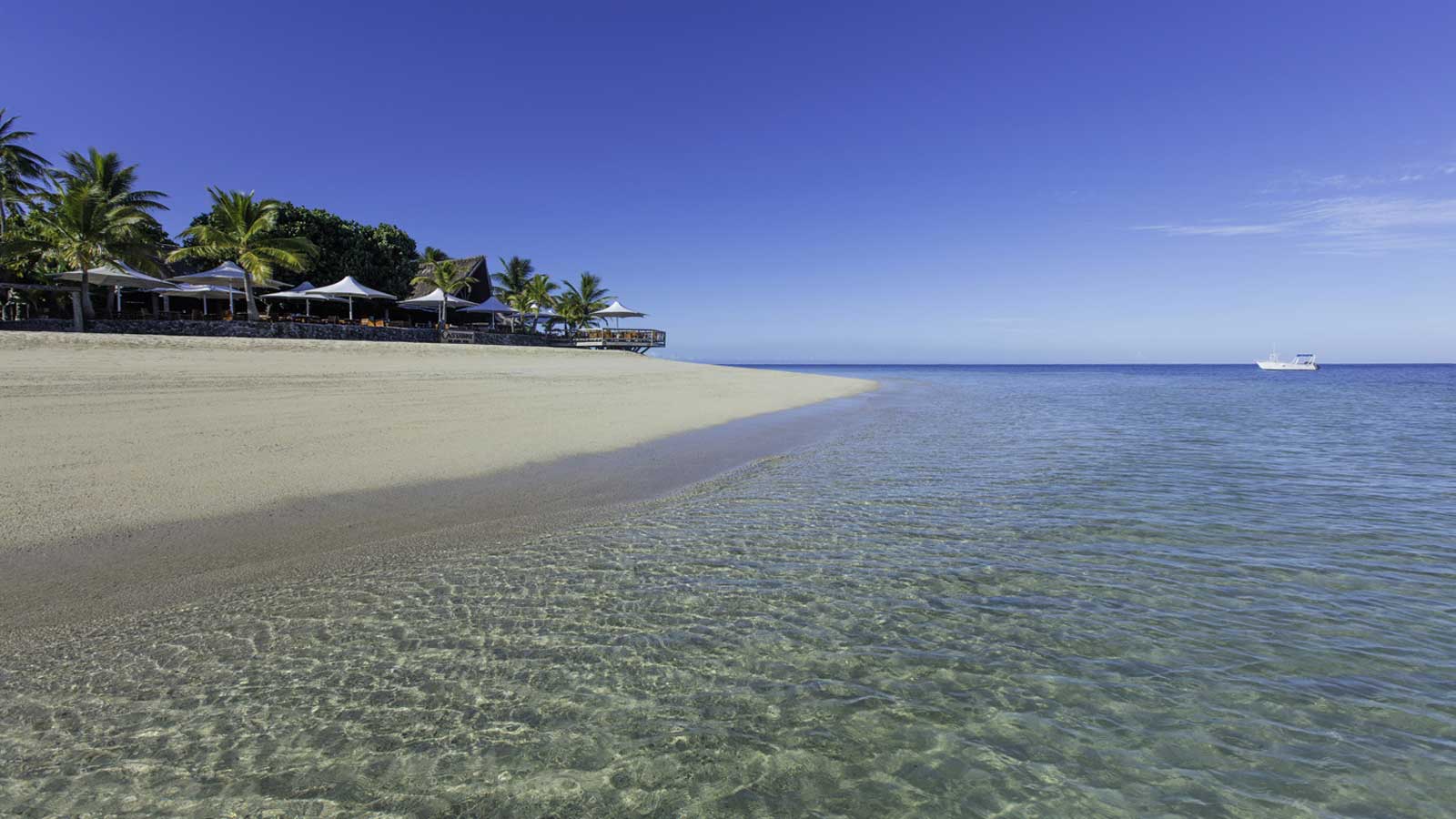 castaway island fiji deals