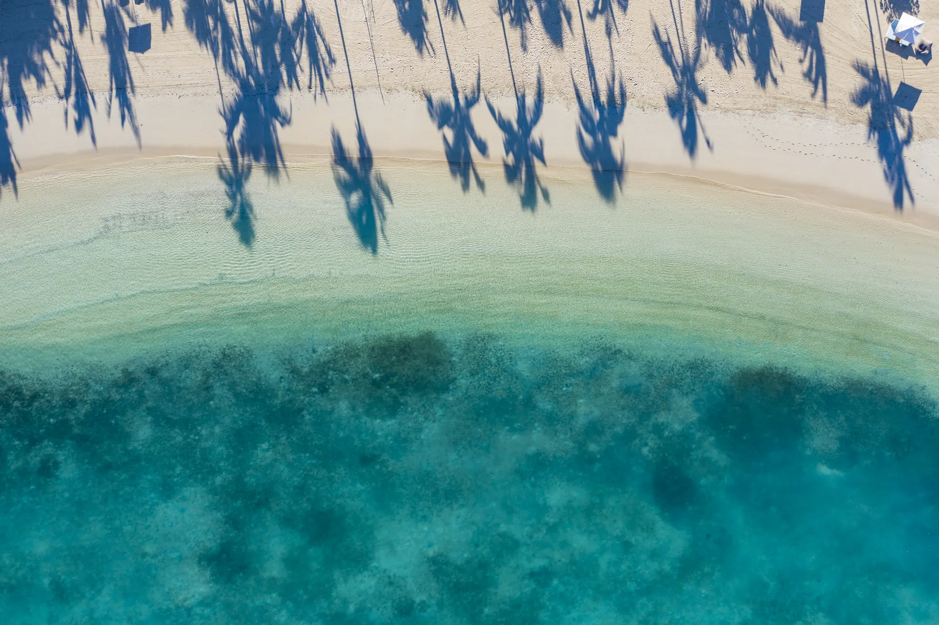 Crystal blue lagoon and palm-lined beach at Six Senses Fiji