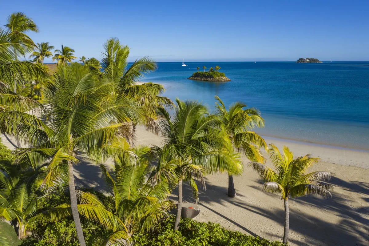 Lush palms along the beach at Six Senses Fiji